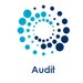 Argus Audit - serviciile contabile, fiscale